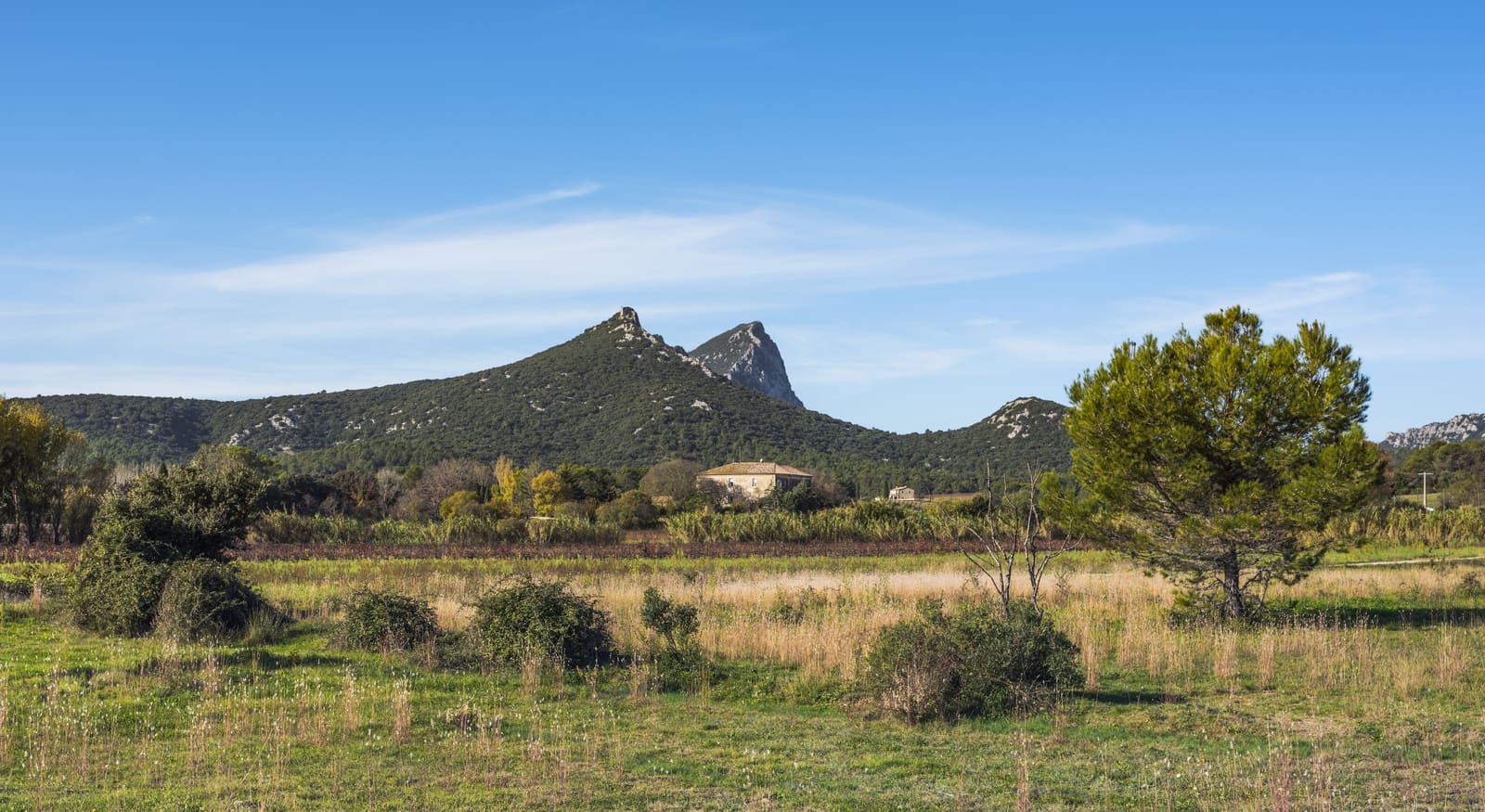 Le Pic Saint-Loup vu depuis Saint-Mathieu-de-Tréviers