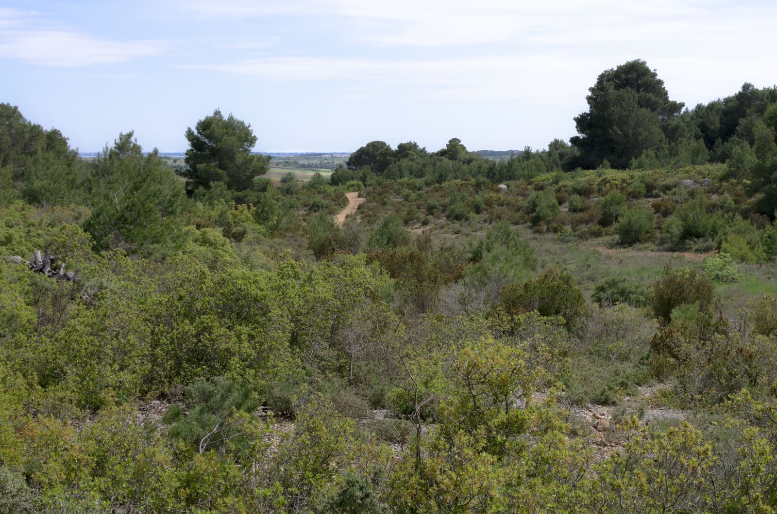 Sentier dans la garrigue de l'Hérault