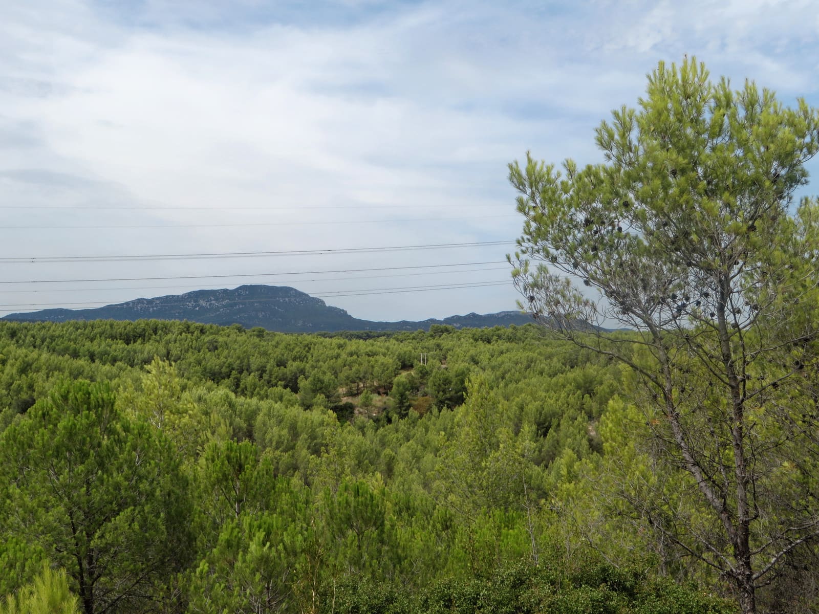 Vue sur le Pic depuis Saint-Clément-de-Rivière